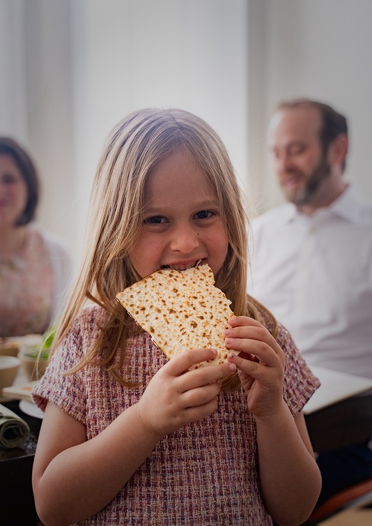 Passover image